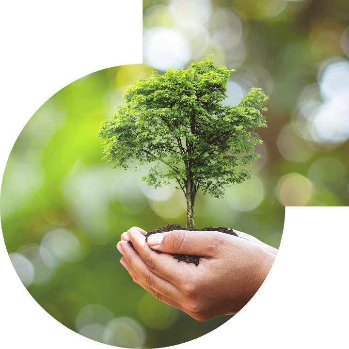 關懷人類、文化、環境與社會